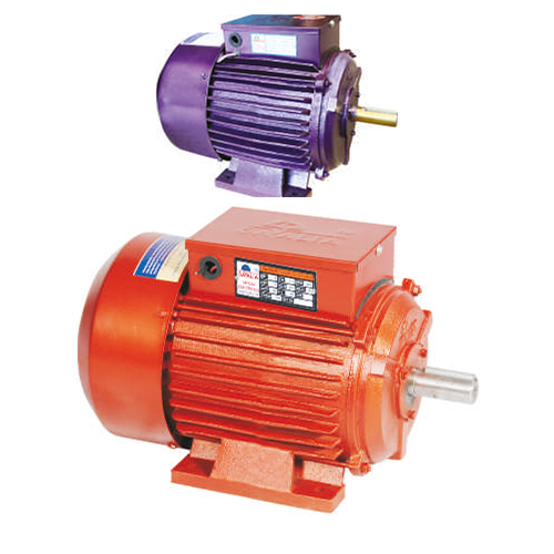 Single Phase Electric Motor